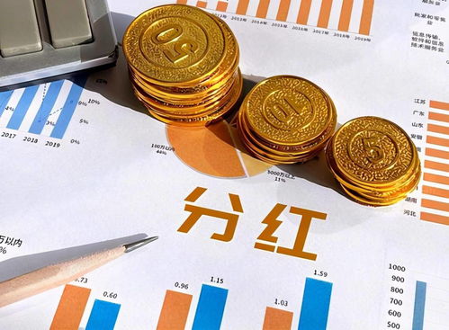 分红最稳定的上市公司(分红最高的上市股票有哪些)