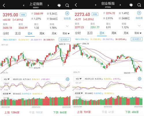 炒股每月收益10个点(炒股每月收益10个点可以吗)