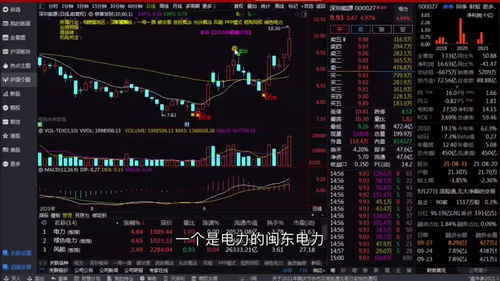 新手入门炒股知识(新手炒股入门基本知识有哪些)