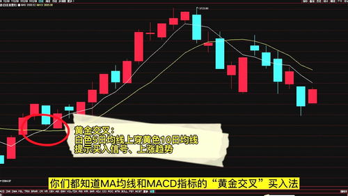 B股如何买(b股怎么买)