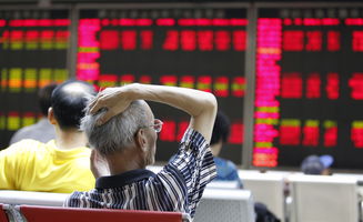股民亏的钱都被谁赚走了(股票亏了死守会回本吗)