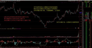 我的可转债惨痛经历(可转债获批后股价暴涨)