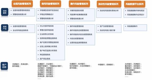 风险案例分析(合俊集团财务风险案例分析)