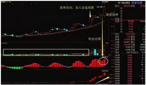 买多只股票好还是买一只好(买一个股票好还是多买几个好)