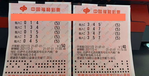 3d组六倍投计划表(福彩3d组6全包倍投计划)