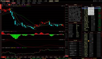 新手买什么股票比较稳定(买什么股票最安全挣钱)