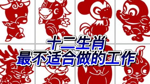 不适合炒股票的属相(买股票怎么买 第一次)