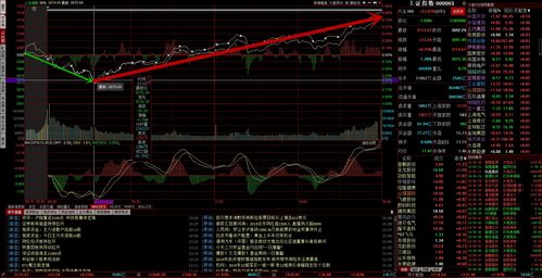 怎么看股票一共投了多少钱(股票怎么看自己投了多少钱)