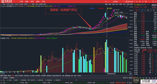 通达信黄蓝带加强版(怎样在通达信上安装黄蓝带)
