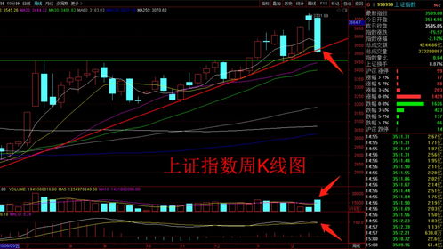 股市升跌的原理(股票升跌的基本原理是什么?)