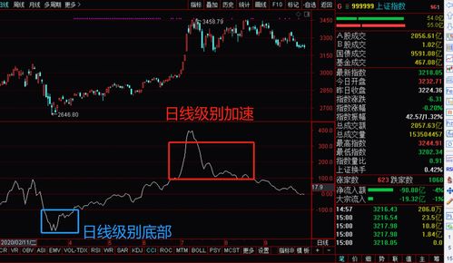 股票赚得多还是亏的多(股票赚得多还是赔的多)
