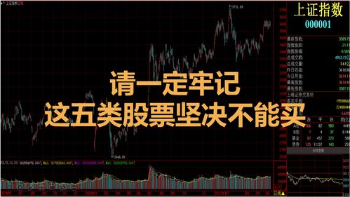 炒股多少人能赚钱(炒股赚多少钱算厉害)