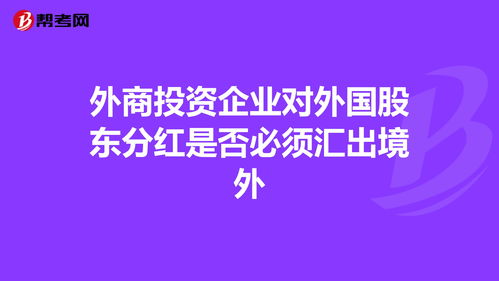 公司红利股需要投资吗(公司红利怎么交税)