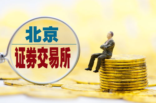 全面注册制下IPO迎更强监管(全面注册制放缓)