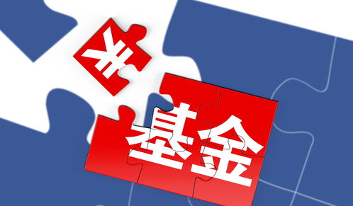 投资基金怎么赚钱(投资基金怎么收益)