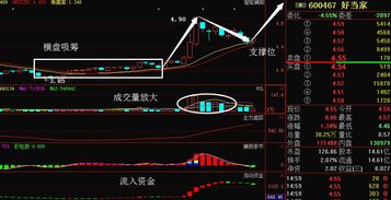 怎么炒股才能稳赚不赔(股票最稳的赚钱方法)