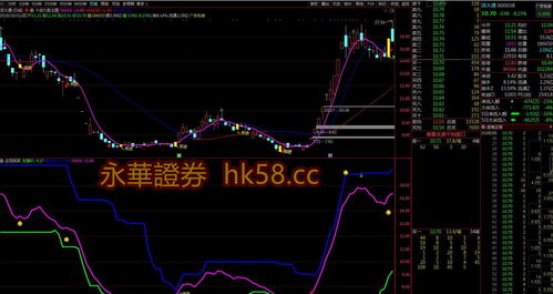 股票投资是什么(股票投资是什么收入)