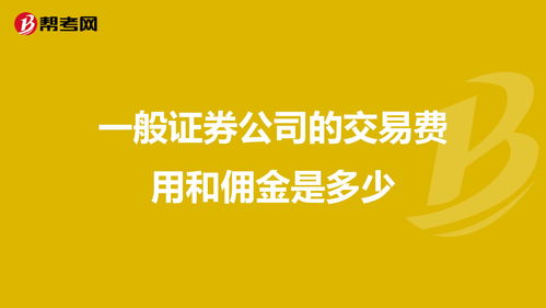 开家证券公司要多少钱(开家证券公司要多少钱才能开)