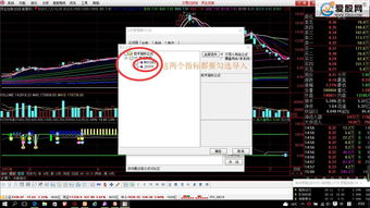 杨永兴T+0买入法(扬永兴短线)