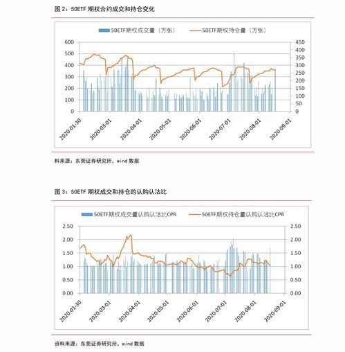 上海b股股票代码(上海b股股票代码是多少)