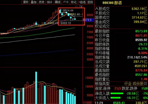 某投资者持有A公司的股票(某投资者持有甲公司的股票)