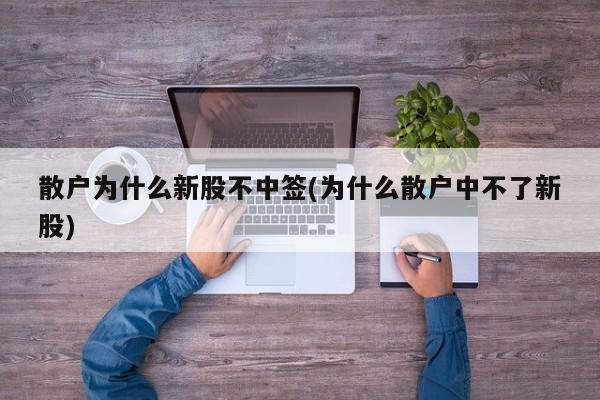 散户为什么新股不中签(为什么散户中不了新股)