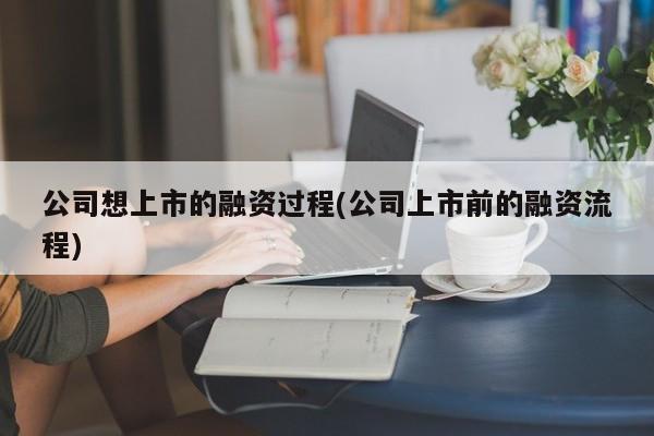 公司想上市的融资过程(公司上市前的融资流程)