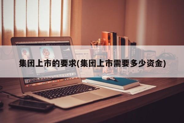 集团上市的要求(集团上市需要多少资金)