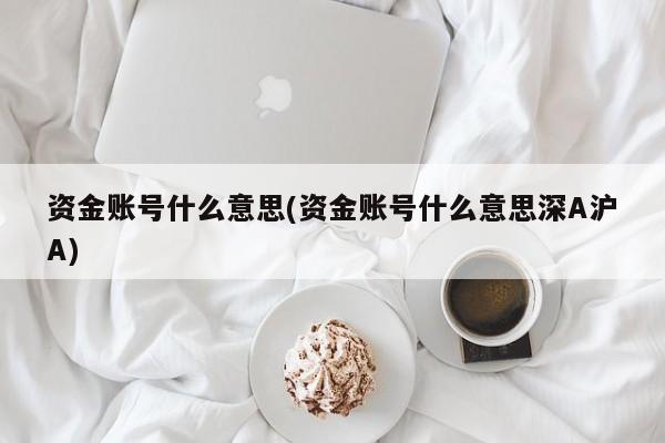 资金账号什么意思(资金账号什么意思深A沪A)