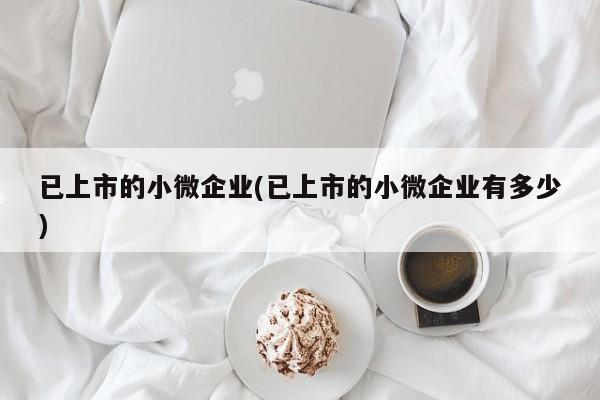 已上市的小微企业(已上市的小微企业有多少)