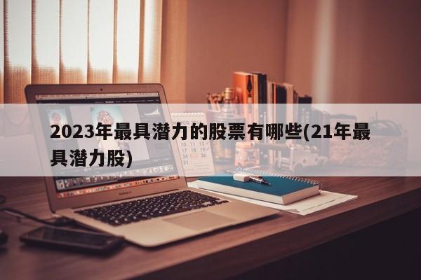 2023年最具潜力的股票有哪些(21年最具潜力股)