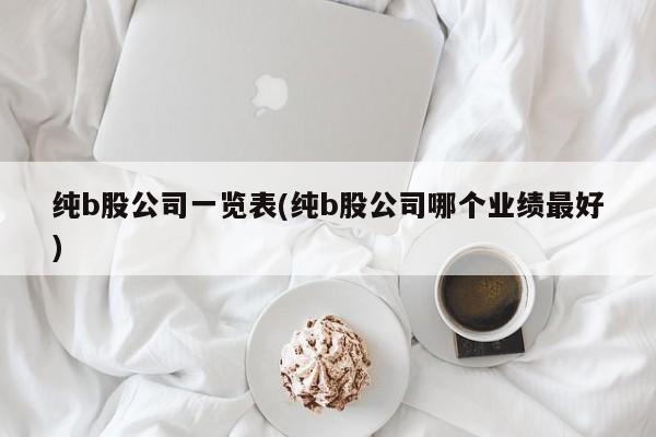 纯b股公司一览表(纯b股公司哪个业绩最好)