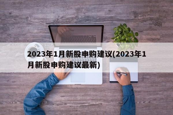 2023年1月新股申购建议(2023年1月新股申购建议最新)