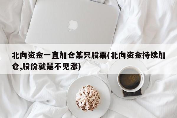 北向资金一直加仓某只股票(北向资金持续加仓,股价就是不见涨)