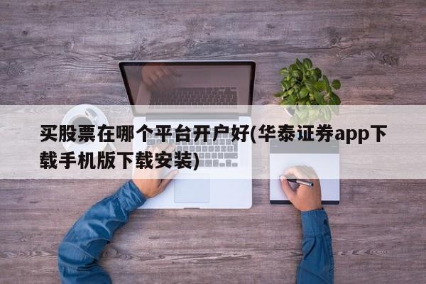 买股票在哪个平台开户好(华泰证券app下载手机版下载安装)