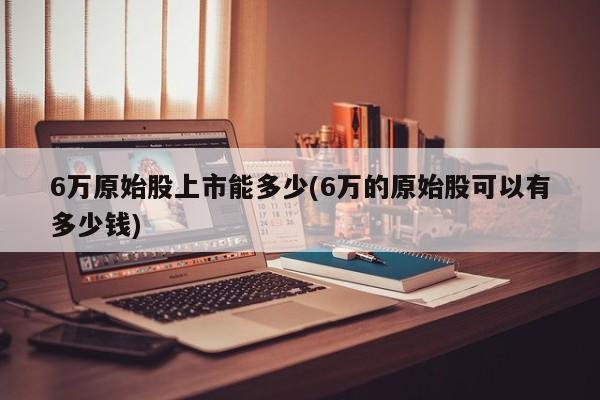 6万原始股上市能多少(6万的原始股可以有多少钱)