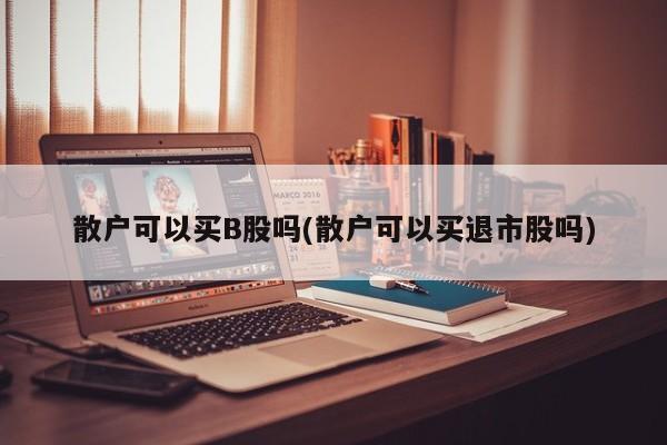 散户可以买B股吗(散户可以买退市股吗)