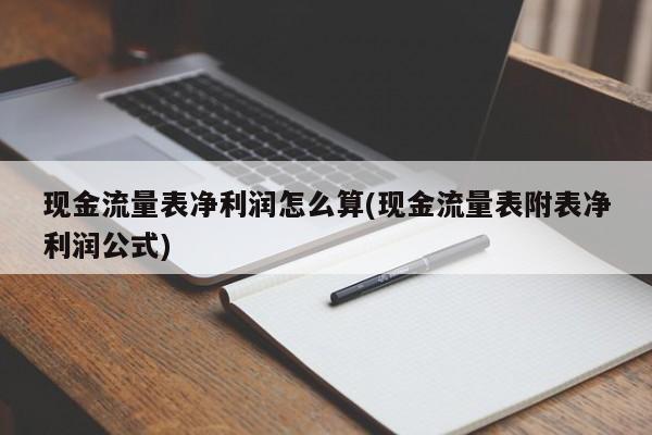 现金流量表净利润怎么算(现金流量表附表净利润公式)
