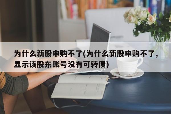 为什么新股申购不了(为什么新股申购不了,显示该股东账号没有可转债)