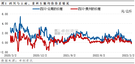 卓创资讯：西南四省猪价价差为何持续缩小？