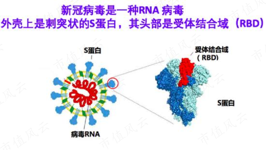 投入14亿，只卖了5000万，首款国产新冠药停产！腾盛博药：亏损多年，现金流生死竞速