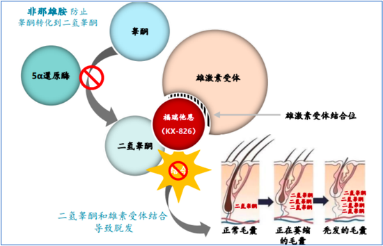 消费型创新药，国内药企发力了！恒瑞、信达、歌礼、开拓等，信达生物肥胖症拔得头筹，开拓药业广泛布局脱发