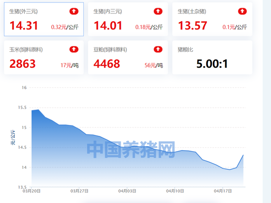猪价反弹上涨，强势破“7”！“二师兄”身价能稳住吗？