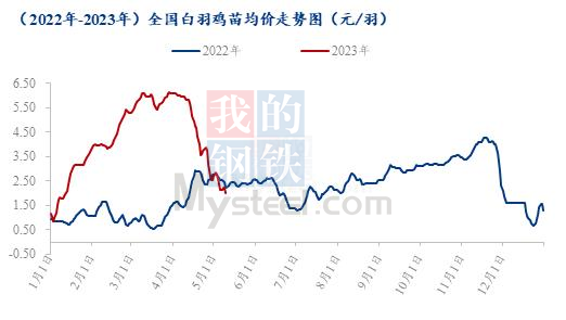 白羽鸡苗均价跌破去年同期，毛鸡价格仍存下行