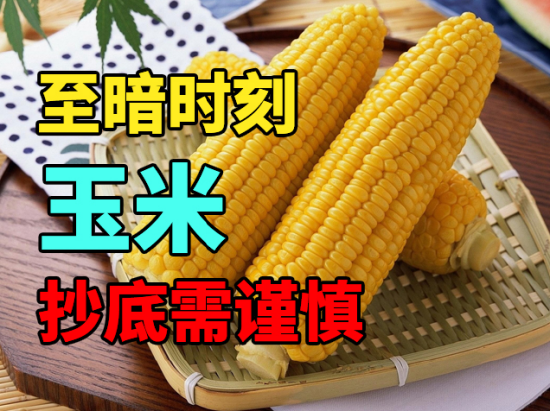 中粮期货：玉米至暗时刻，抄底需谨慎