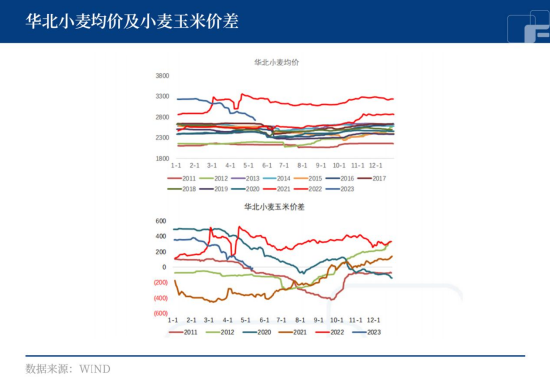 中粮期货：玉米至暗时刻，抄底需谨慎