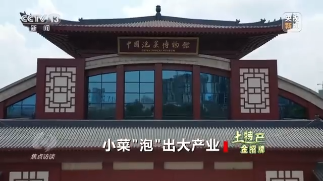 产值高达230亿元！小菜“泡”出大产业