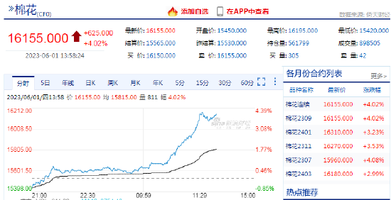 棉花日内涨超4%！机构：中长期仍具备上行动力