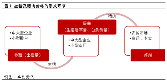 卓创资讯：供需比微降利多6月生猪及猪肉价格 涨幅或有限