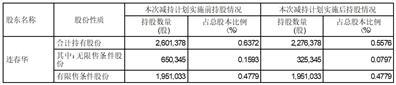 四川久远银海软件股份有限公司关于公司部分董事及高级管理人员减持计划数量过半的进展公告